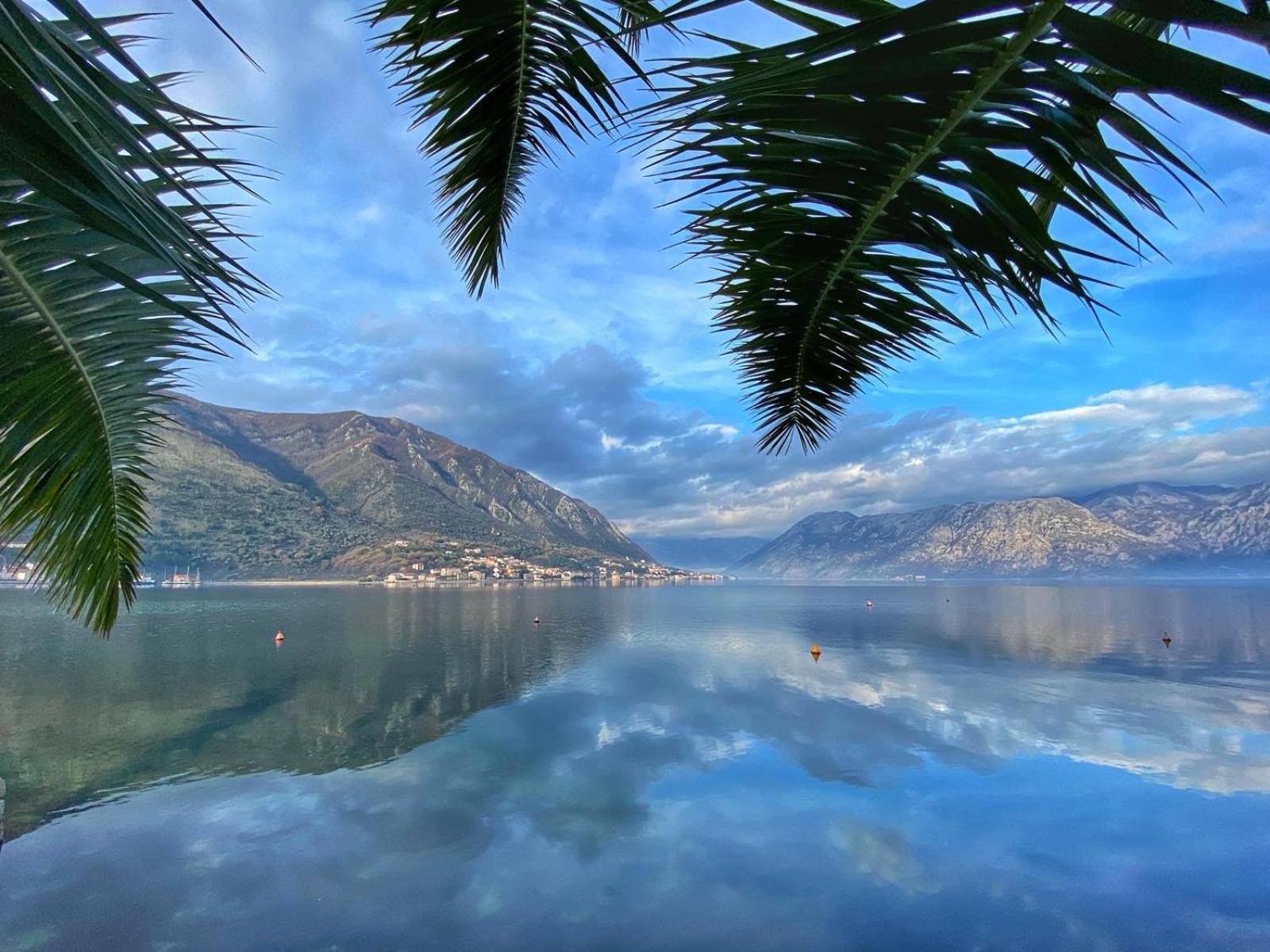 Sunny Bay Apartments Kotor Eksteriør bilde